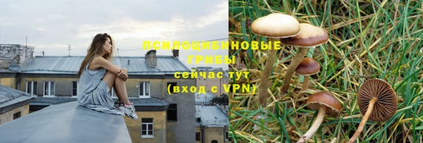 прущий лед Медвежьегорск