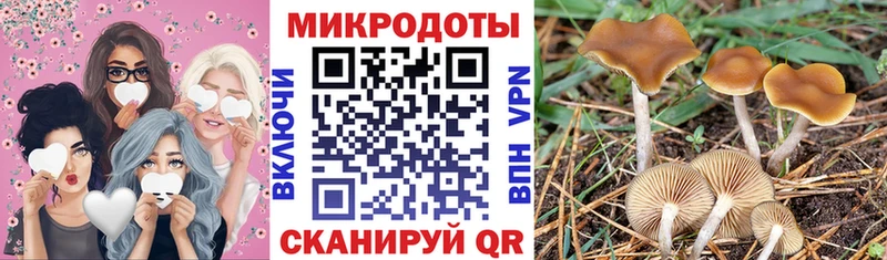 Галлюциногенные грибы Psilocybine cubensis  Хотьково 